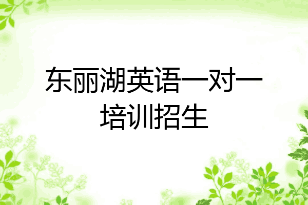 东丽湖英语一对一培训招生