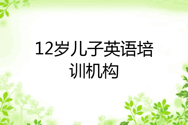 12岁儿子英语培训机构