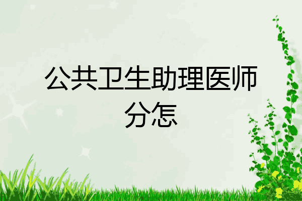公共卫生助理医师分怎