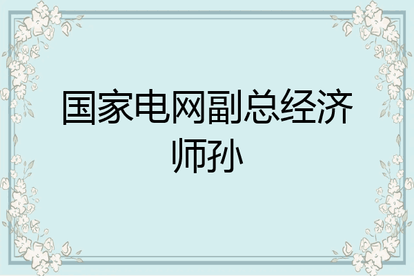 国家电网副总经济师孙