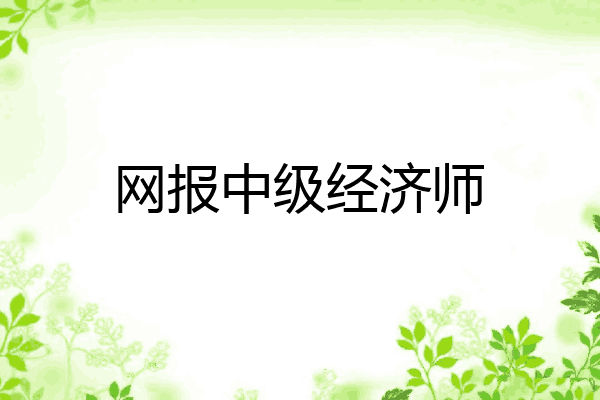 网报中级经济师