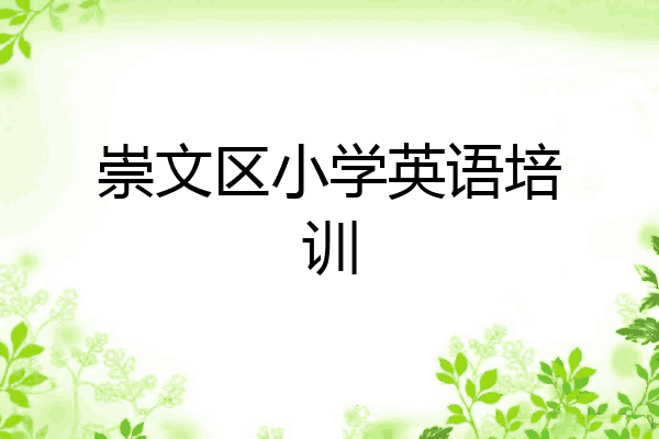崇文区小学英语培训