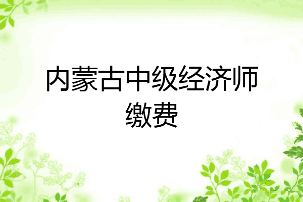 内蒙古中级经济师缴费