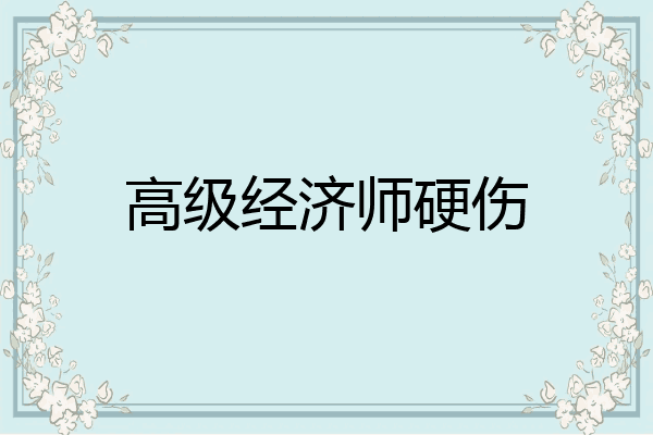 高级经济师硬伤