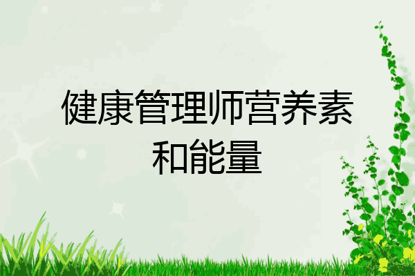 健康管理师营养素和能量