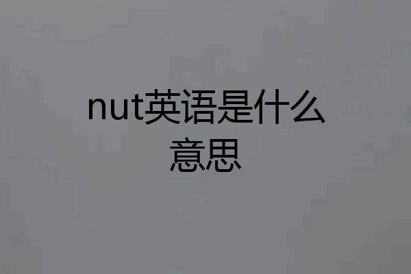 nut英语是什么意思