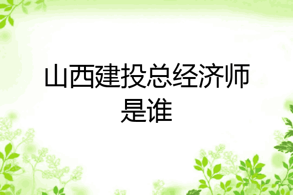 山西建投总经济师是谁