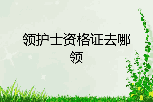 领护士资格证去哪领