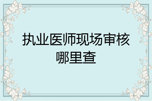 执业医师现场审核哪里查