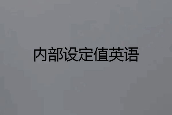 内部设定值英语