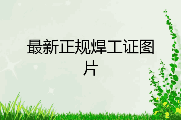 最新正规焊工证图片
