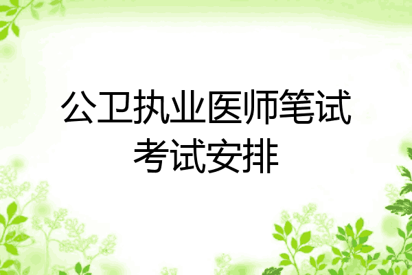 公卫执业医师笔试考试安排