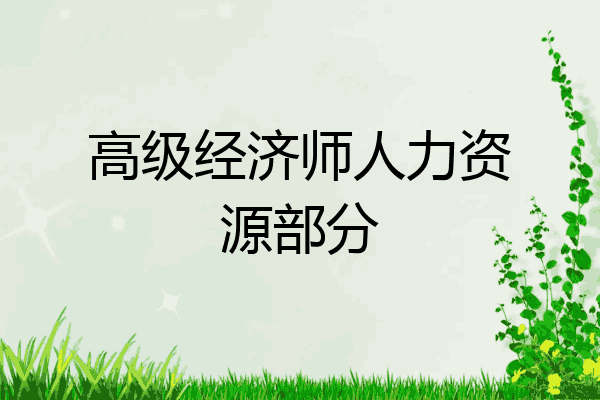 高级经济师人力资源部分