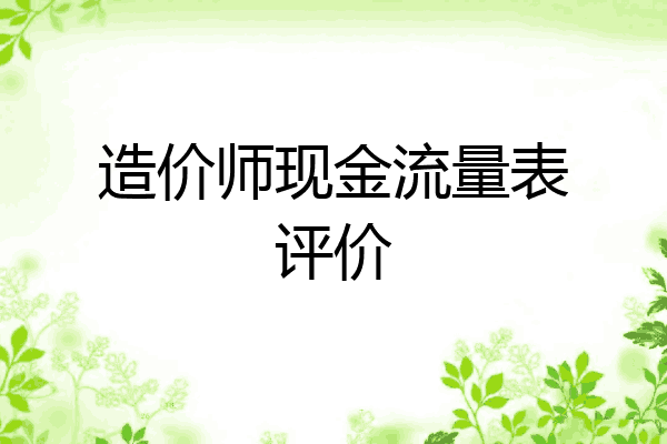 造价师现金流量表评价