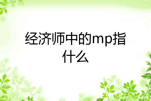 经济师中的mp指什么