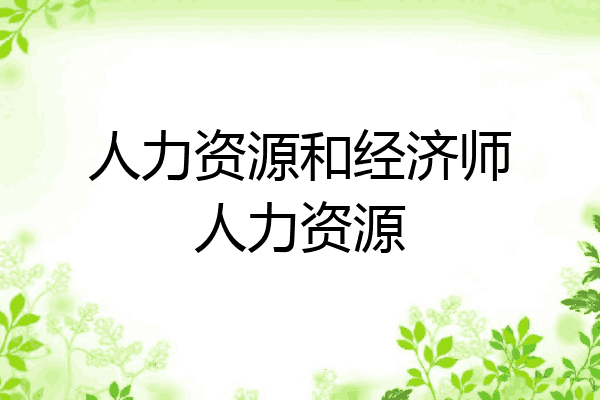 人力资源和经济师人力资源