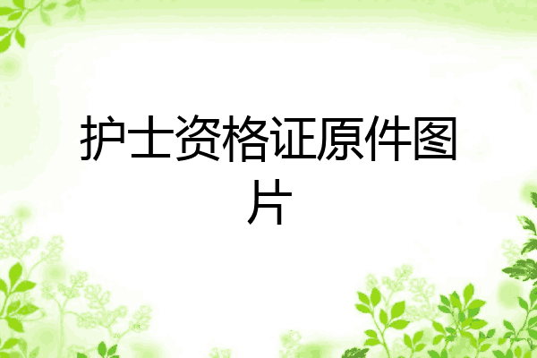 护士资格证原件图片