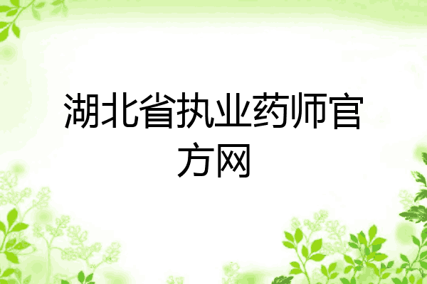 湖北省执业药师官方网