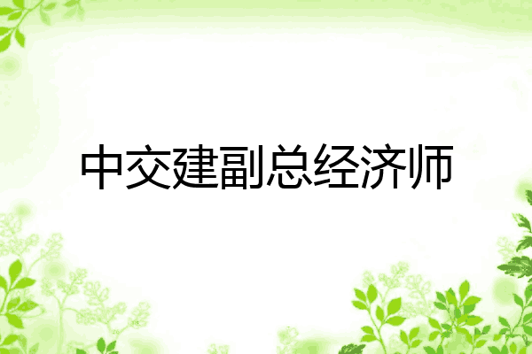 中交建副总经济师