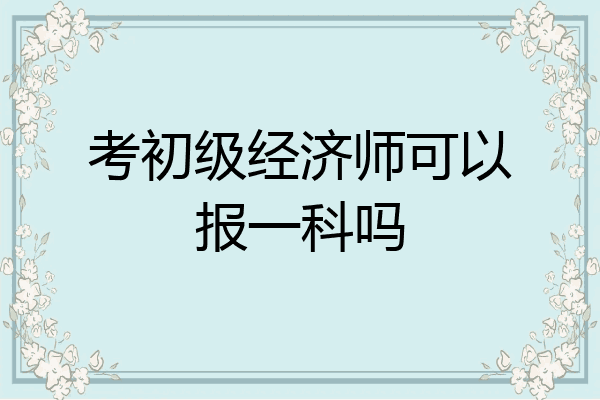 考初级经济师可以报一科吗