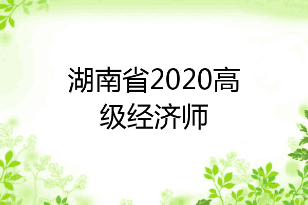 湖南省2020高级经济师