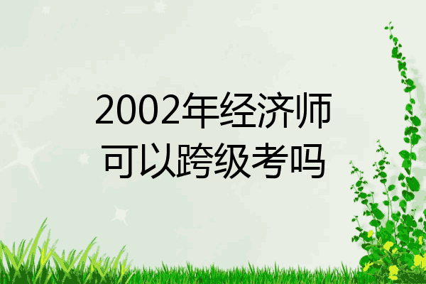 2002年经济师可以跨级考吗