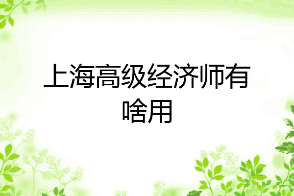 上海高级经济师有啥用