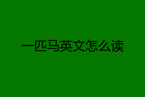 一匹马英文怎么读