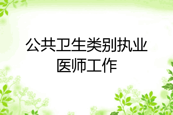 公共卫生类别执业医师工作