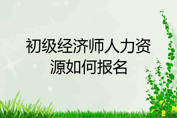初级经济师人力资源如何报名