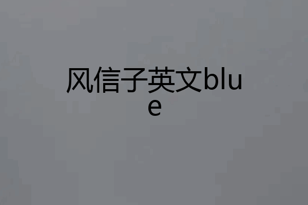 风信子英文blue