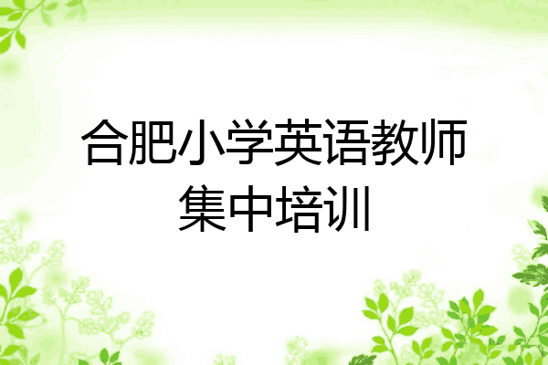 合肥小学英语教师集中培训