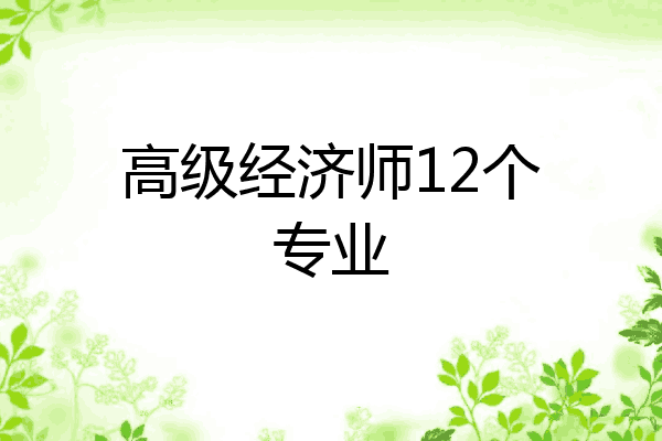 高级经济师12个专业