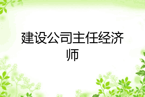 建设公司主任经济师