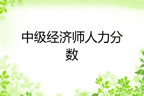 中级经济师人力分数