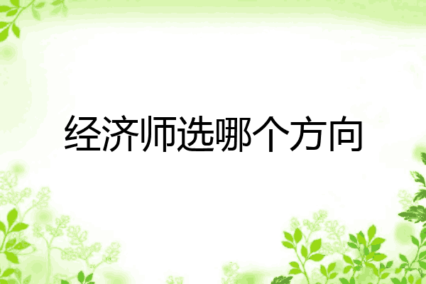 经济师选哪个方向