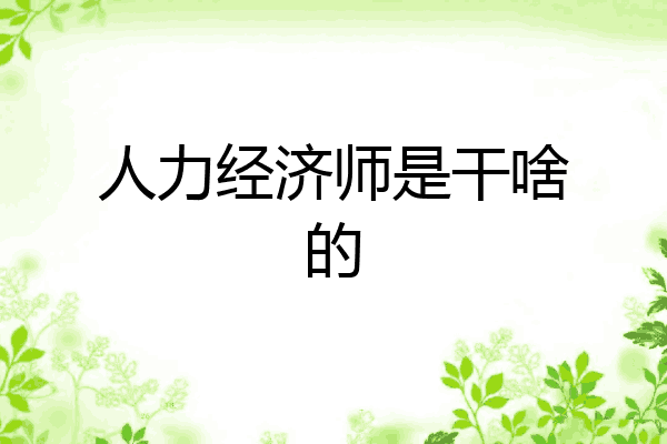 人力经济师是干啥的