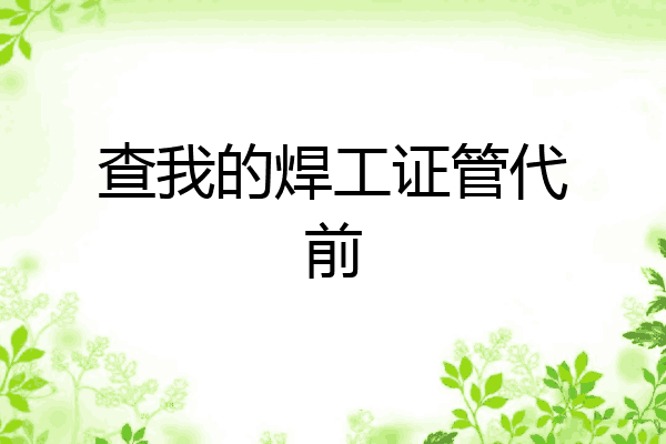 查我的焊工证管代前