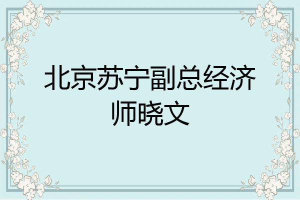 北京苏宁副总经济师晓文