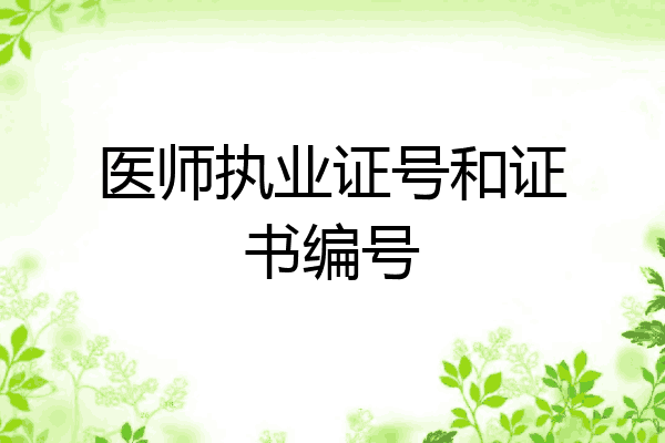 医师执业证号和证书编号