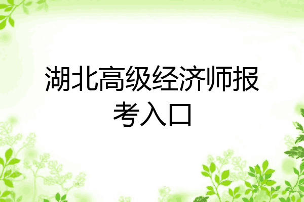 湖北高级经济师报考入口