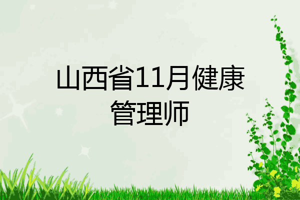 山西省11月健康管理师