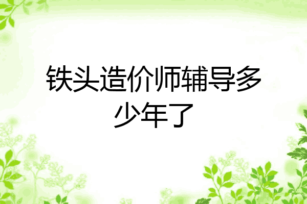 铁头造价师辅导多少年了