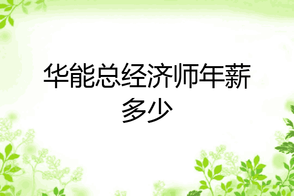 华能总经济师年薪多少