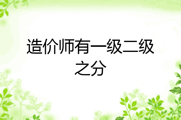造价师有一级二级之分