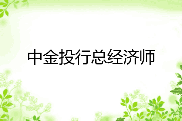 中金投行总经济师