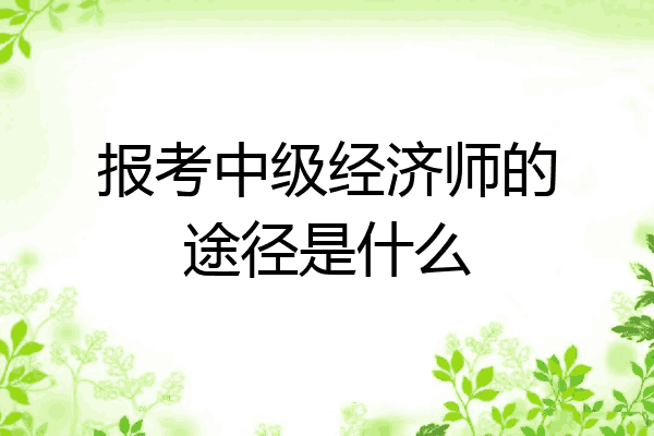 报考中级经济师的途径是什么