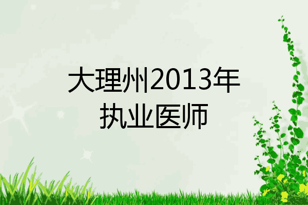 大理州2013年执业医师