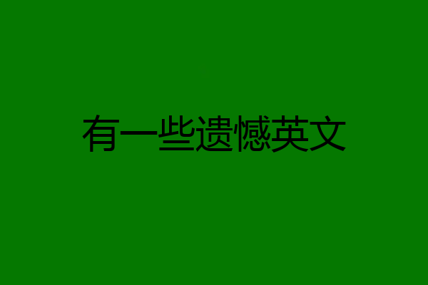 有一些遗憾英文