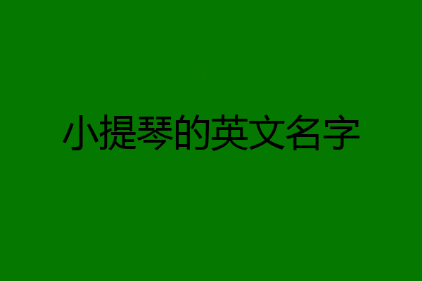 小提琴的英文名字